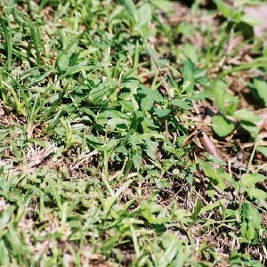 /Albums/8/993433 R2 11 11a