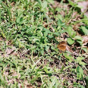 /Albums/8/993433 R2 12 12a