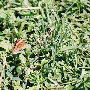 /Albums/8/993433 R2 13 13a