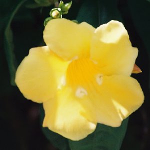 /Albums/8/993433 R2 15 15a