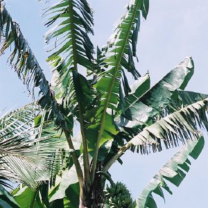 /Albums/8/993433 R2 17 17a