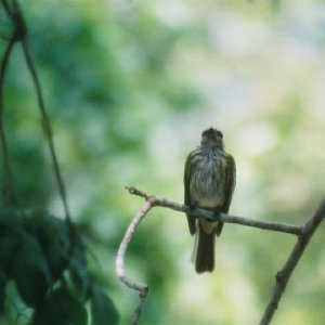 /Albums/8/993433 R2 19 19a