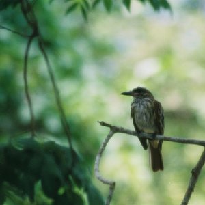 /Albums/8/993433 R2 20 20a