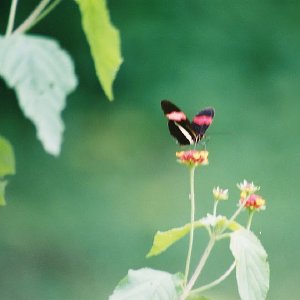 /Albums/8/993433 R2 21 21a