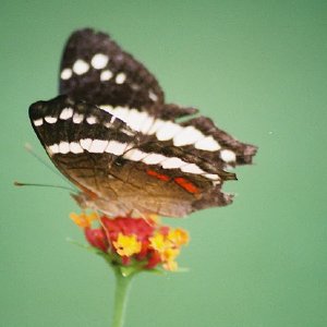 /Albums/8/993433 R2 24 24a