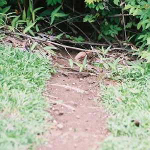 /Albums/8/993433 R2 25 25a