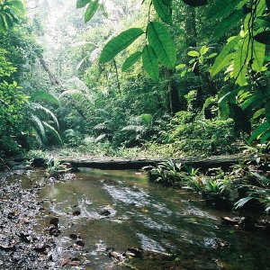 /Albums/9/449951 R1 01 35a 002