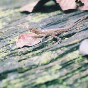 /Albums/9/449951 R1 04 32a 005