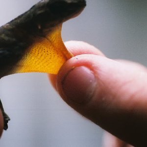 /Albums/9/449951 R1 11 25a 012