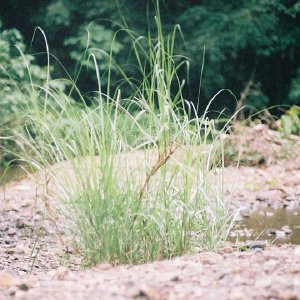 /Albums/9/449951 R1 17 19a 018