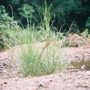 /Albums/9/449951 R1 18 18a 019