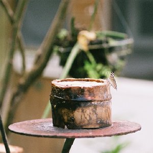 /Albums/9/993433 R3 21 21a