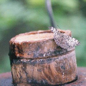 /Albums/9/993433 R3 22 22a