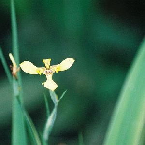 /Albums/9/993433 R3 27 27a