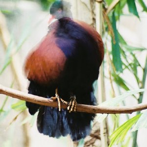 /Albums/9/993433 R4 05 6