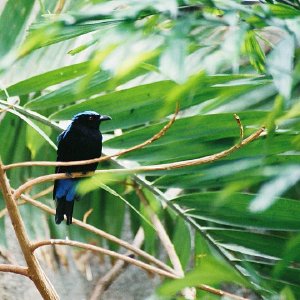 /Albums/9/993433 R4 07 8