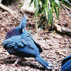 /Albums/9/993433 R4 08 9