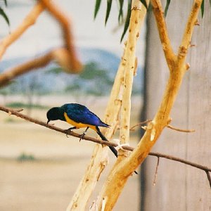 /Albums/9/993433 R4 13 14