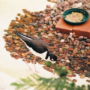 /Albums/9/993433 R4 15 16