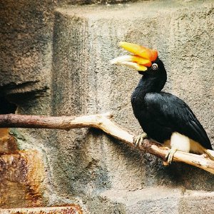 /Albums/9/993433 R4 16 17