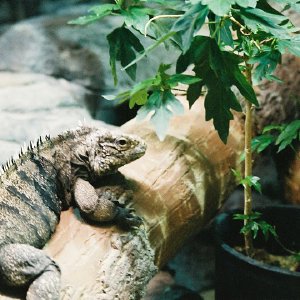 /Albums/9/993433 R4 17 18