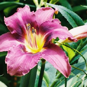 /Albums/9/993433 R4 21 22