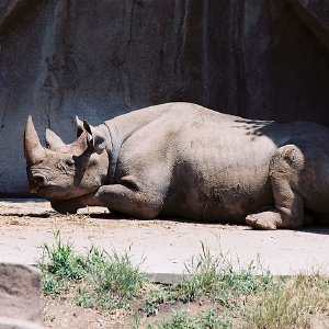 /Albums/9/993433 R4 26 27