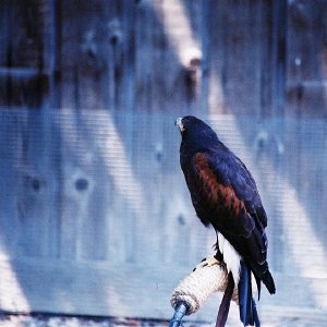 /Albums/9/993433 R4 27 28