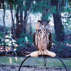 /Albums/9/993433 R4 30 31