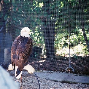 /Albums/9/993433 R4 31 32