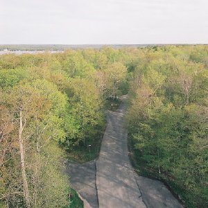 /Albums/9/993433 R5 05 6