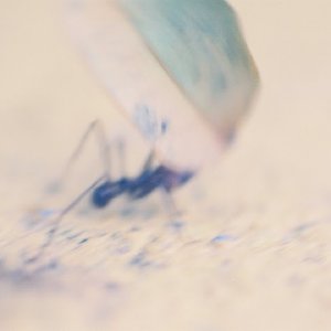 /Albums/9/993433 R5 08 9